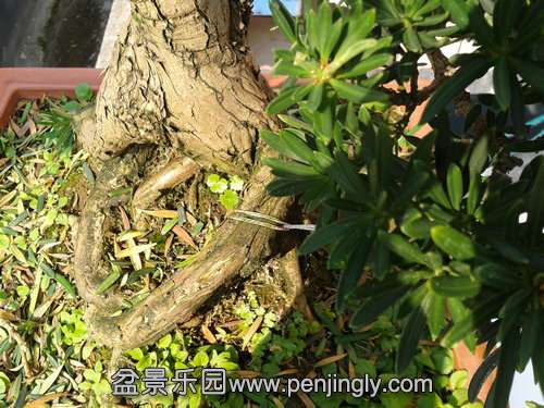 2013-10-21 13.34.54.jpg