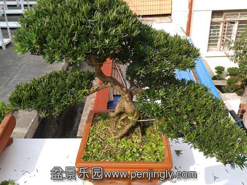 2013-10-21 13.35.33.jpg