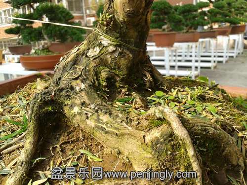 2013-10-21 13.35.09.jpg