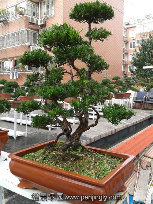 2013-10-21 13.47.59.jpg