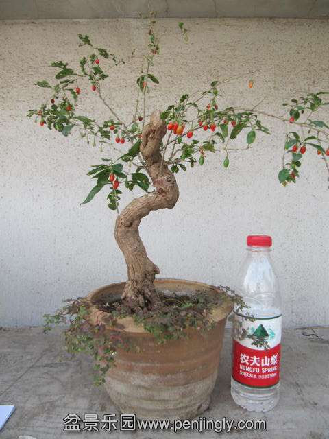 ĺ.JPG