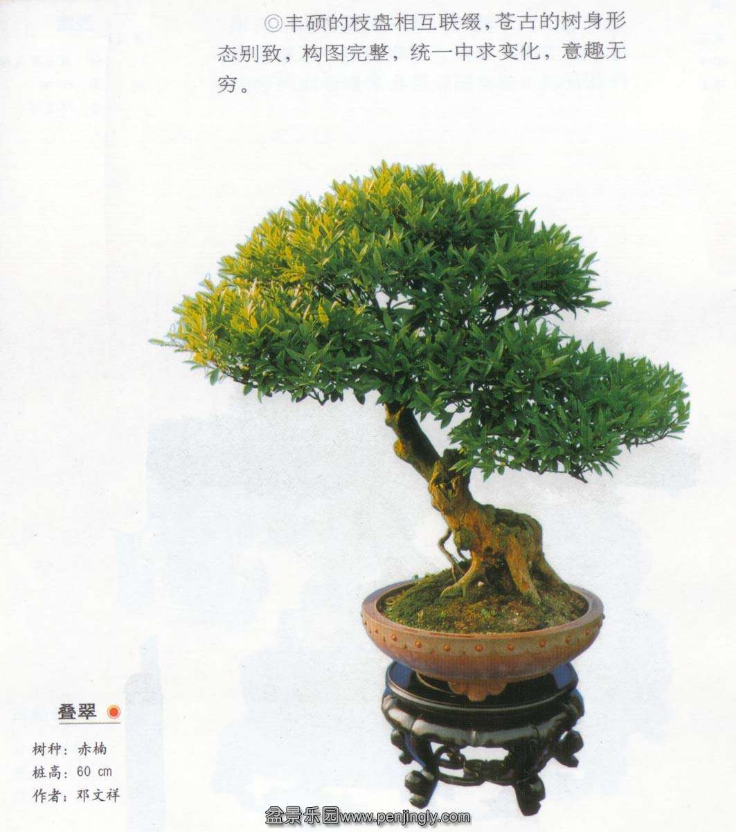 顶䡷.jpg