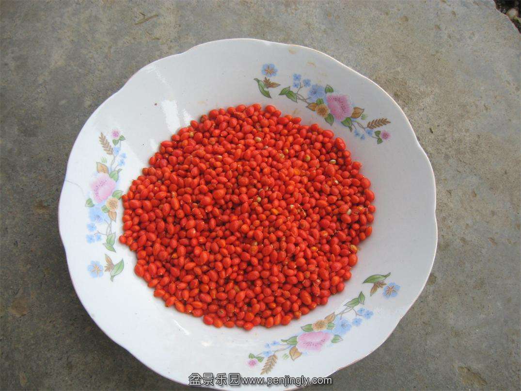 ì
