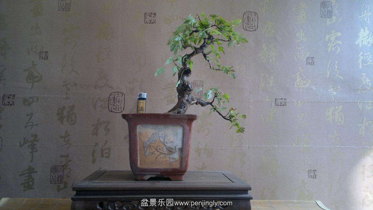 2013-10-25-768.JPG