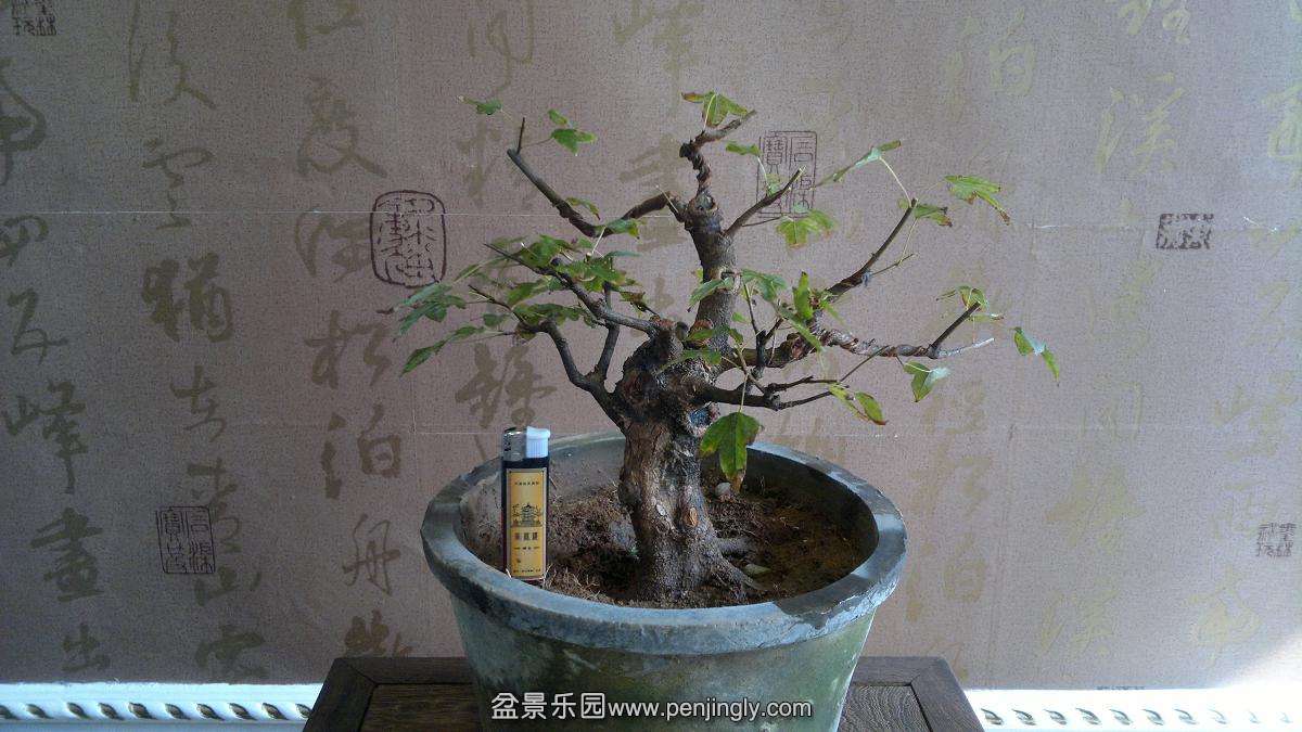 2013-10-25-771.JPG