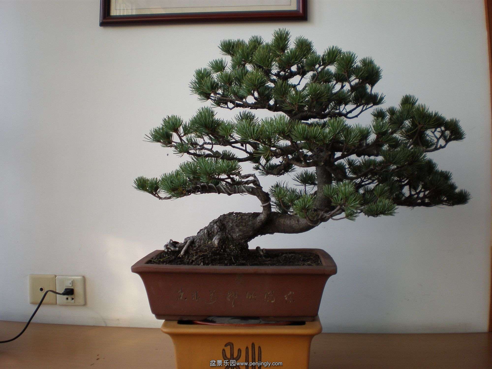 P1010262_.jpg