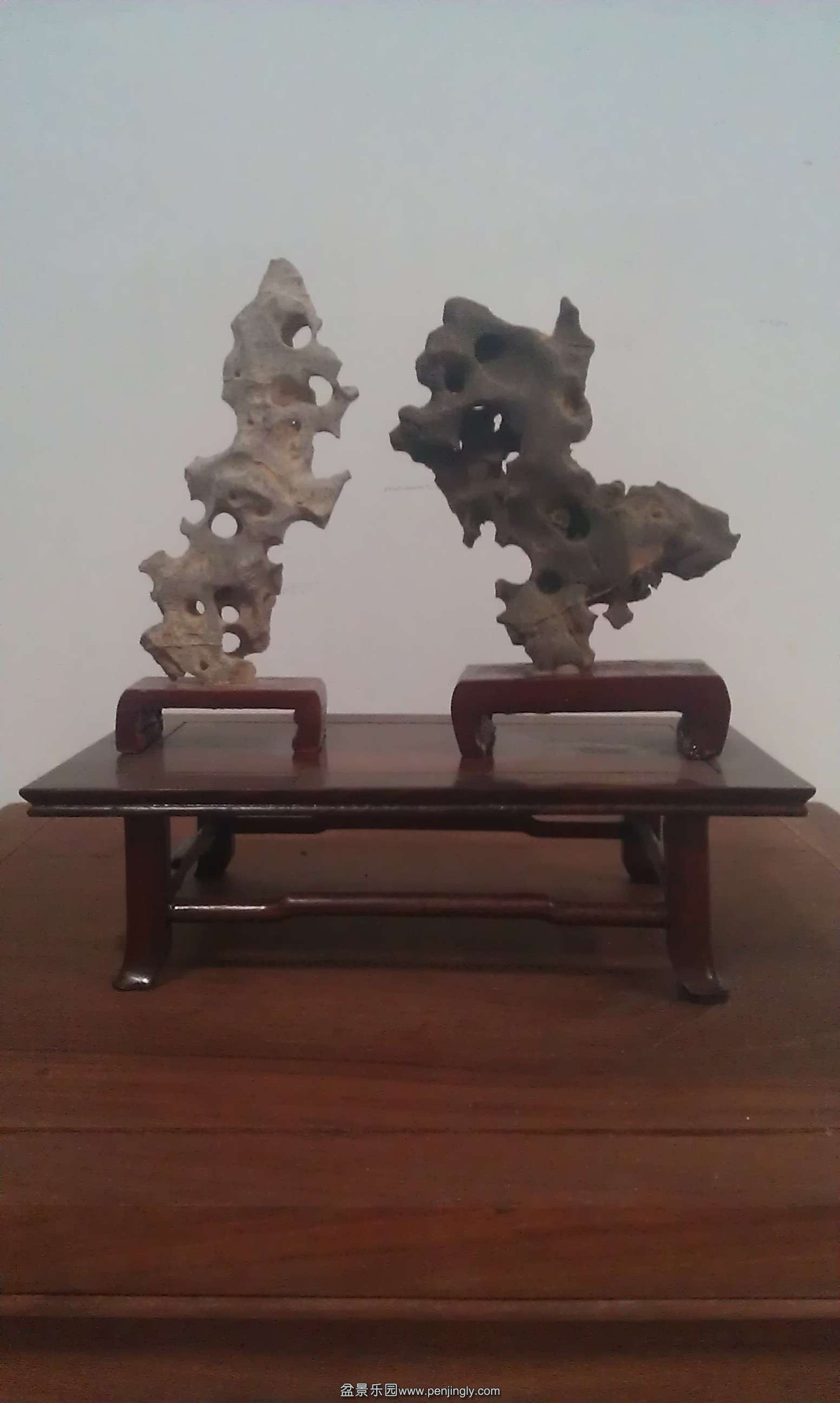 IMAG0353.jpg