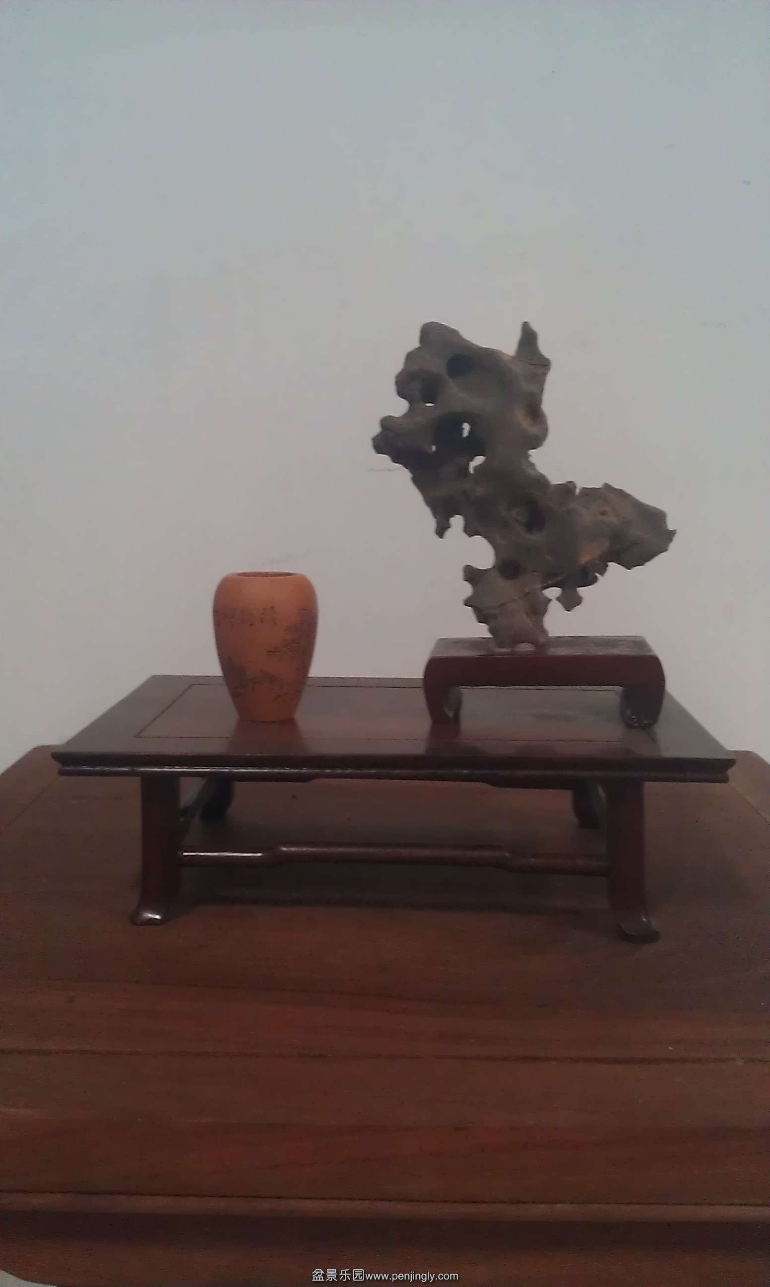 IMAG0354.jpg