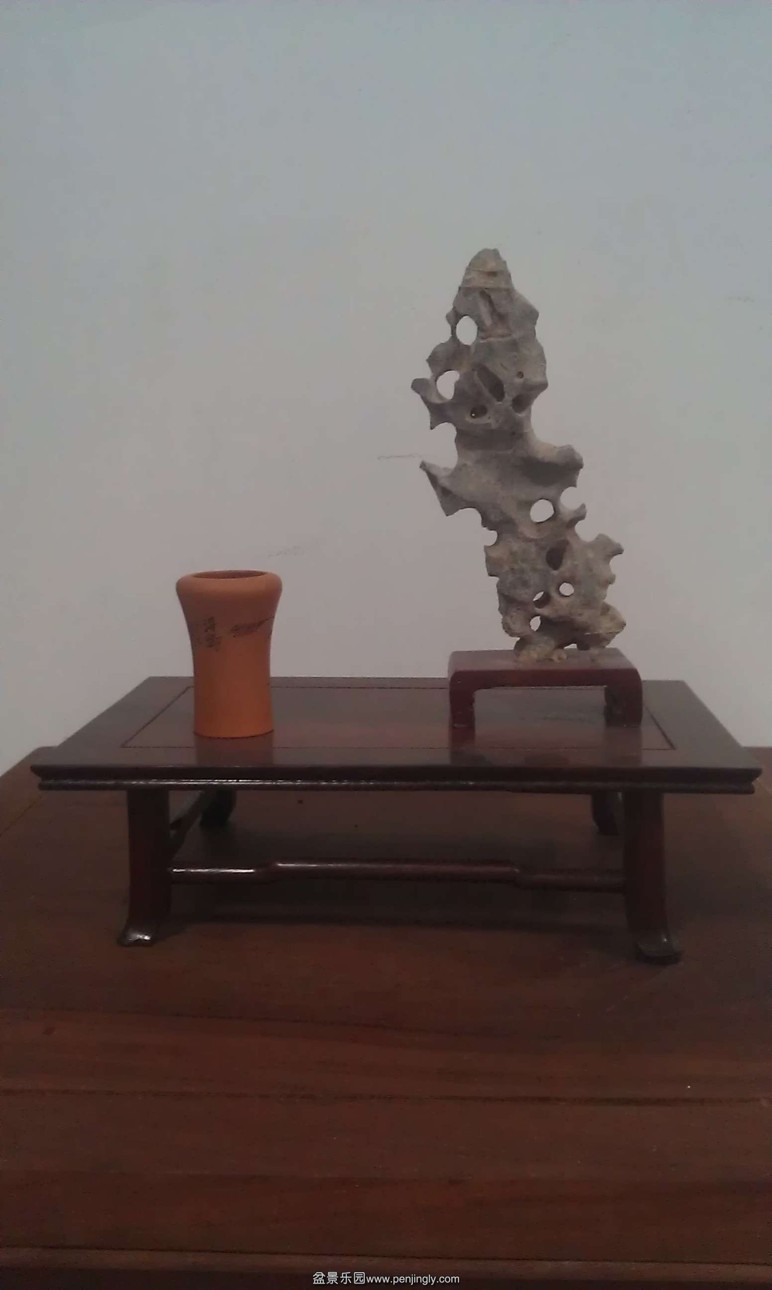 IMAG0355.jpg