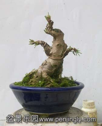 201310041183.jpg
