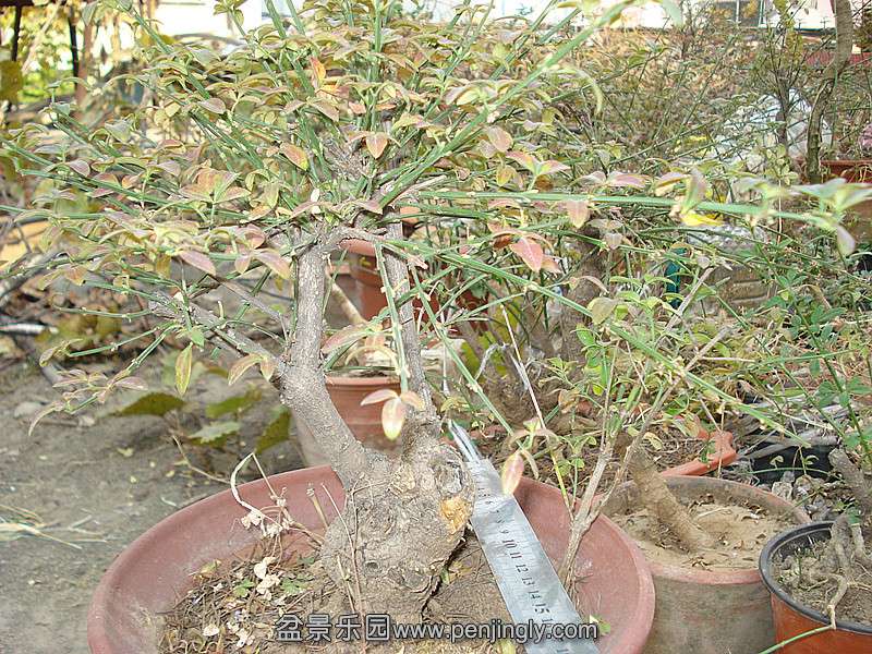 DSC06436_.jpg