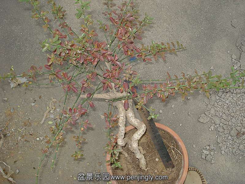 DSC06440_.jpg