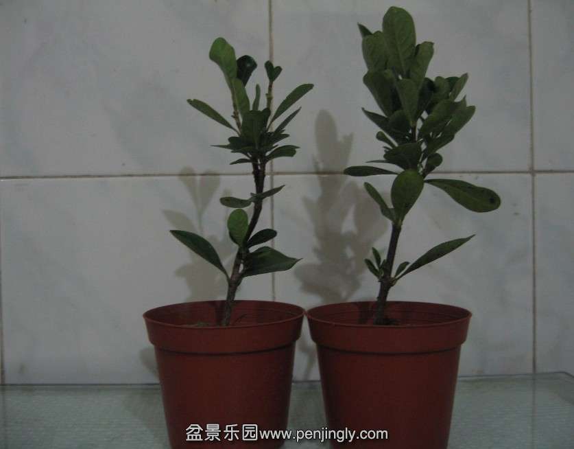 QQͼƬ20131027150214.jpg