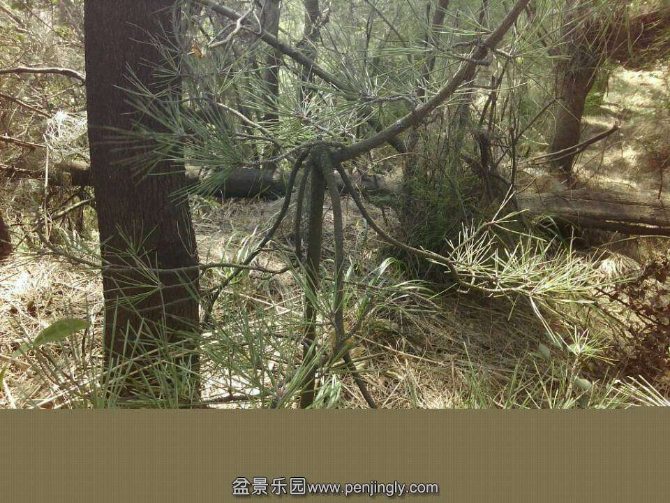 QQͼƬ20131027185315.jpg
