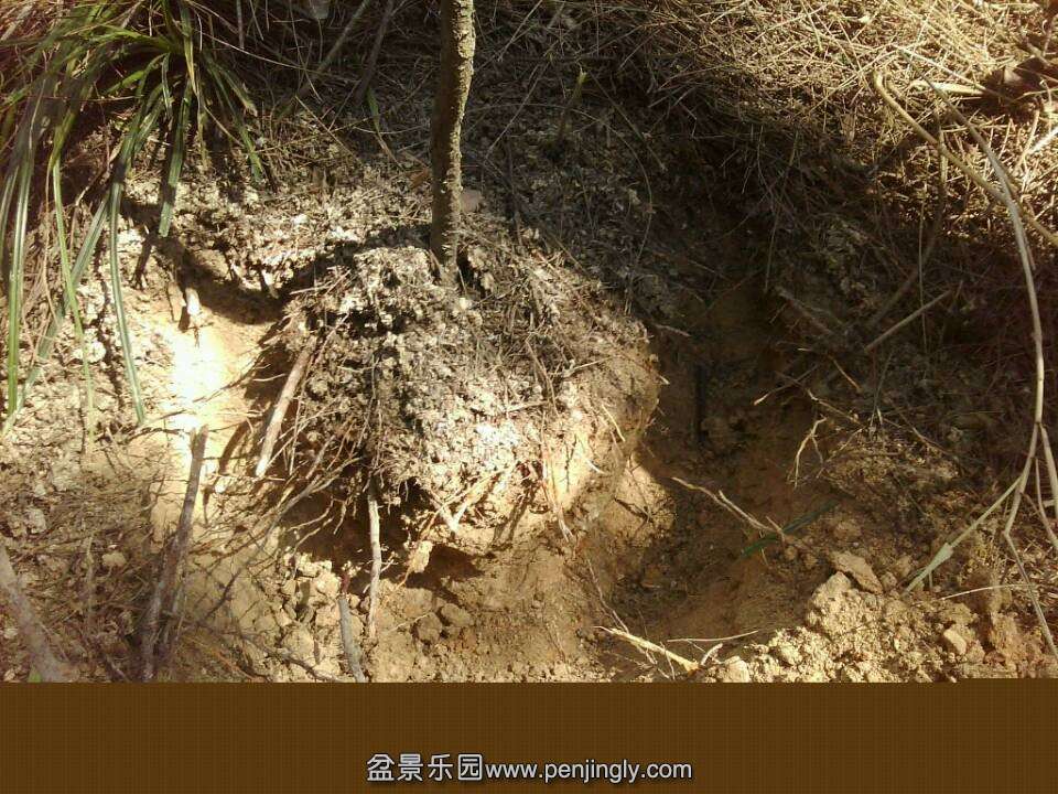 QQͼƬ20131027185339.jpg