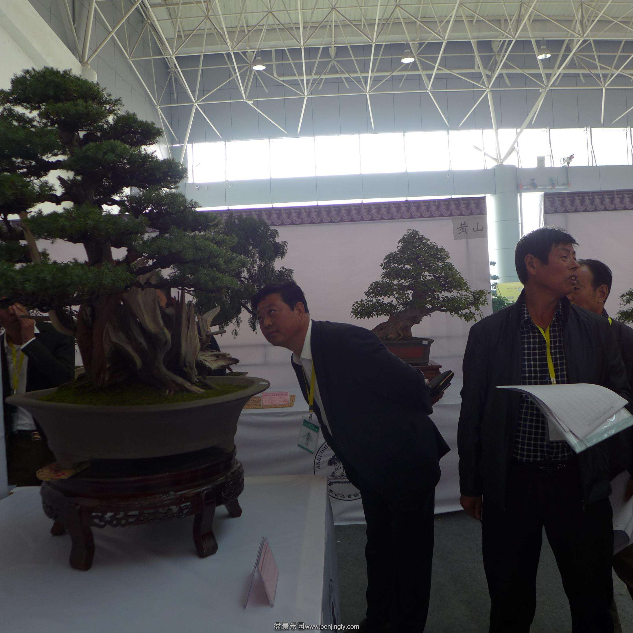 P1000769.JPG