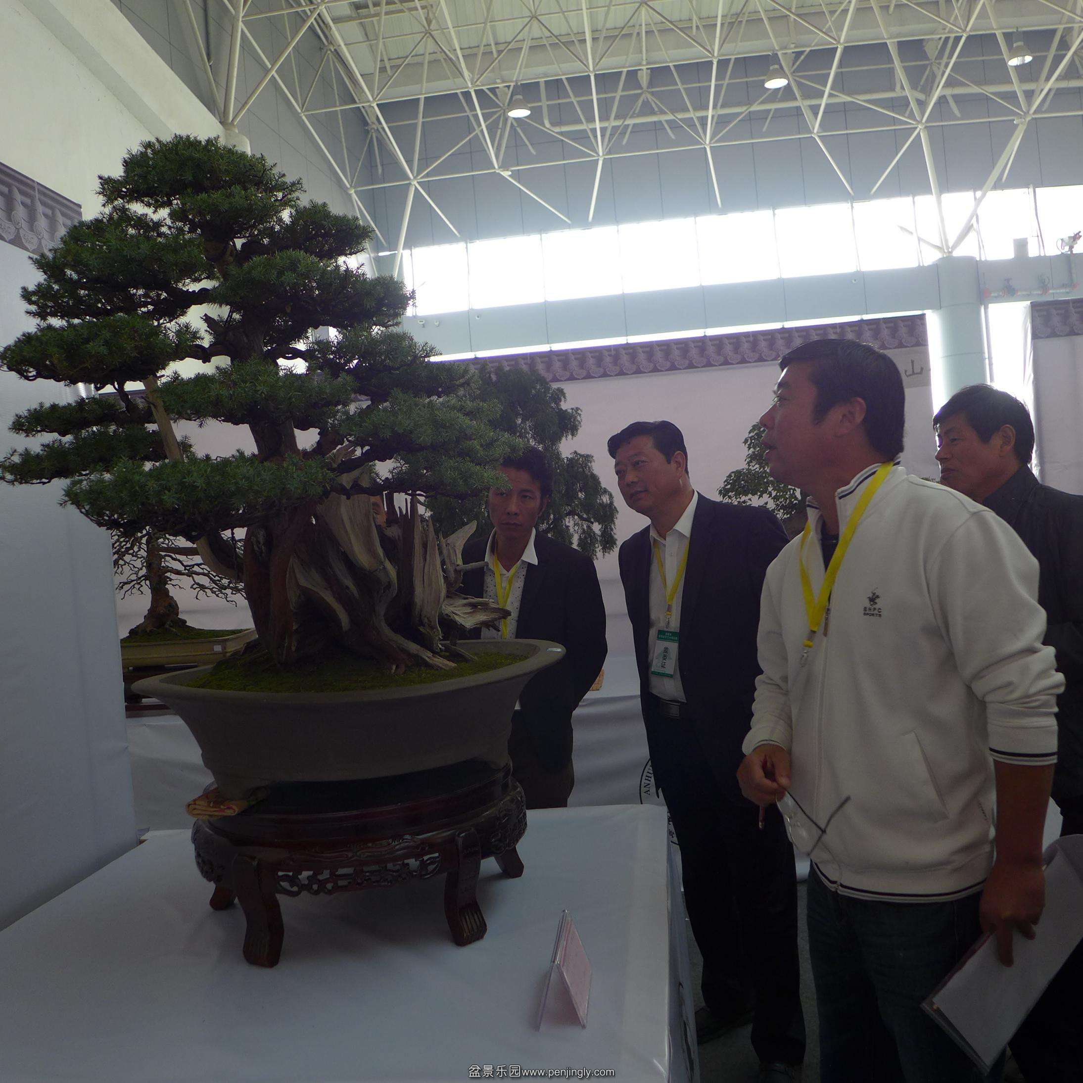 P1000770.JPG
