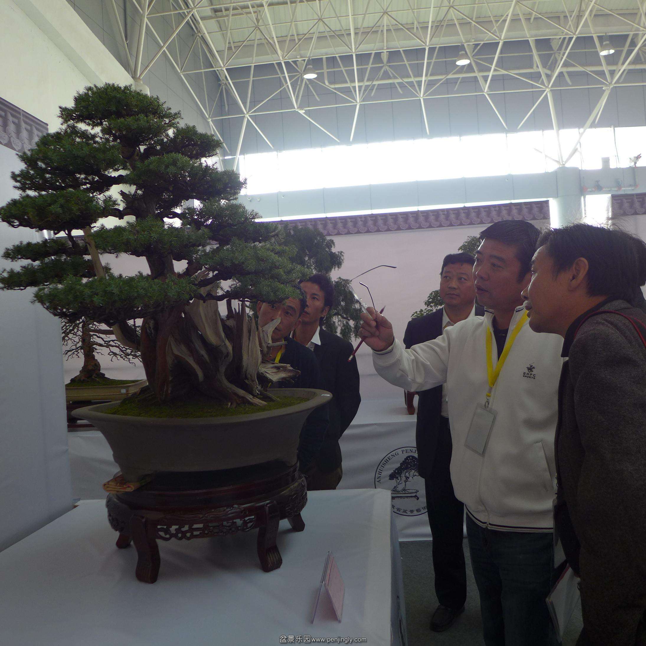 P1000771.JPG