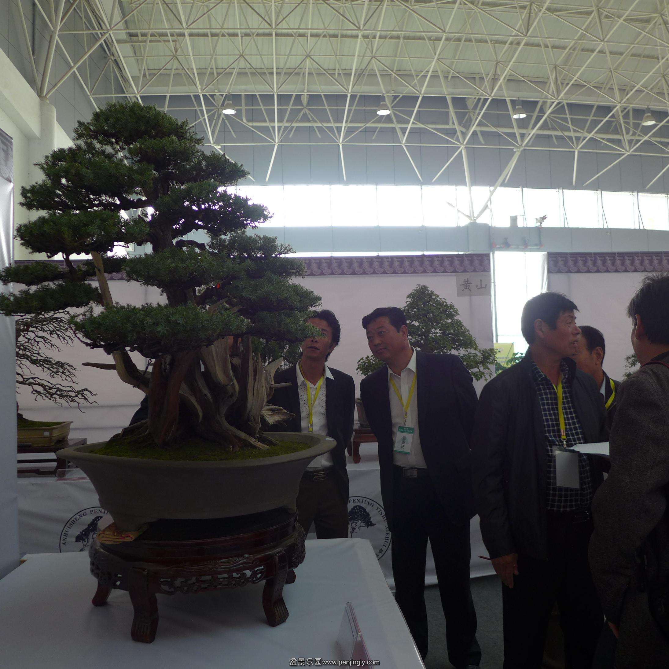 P1000772.JPG