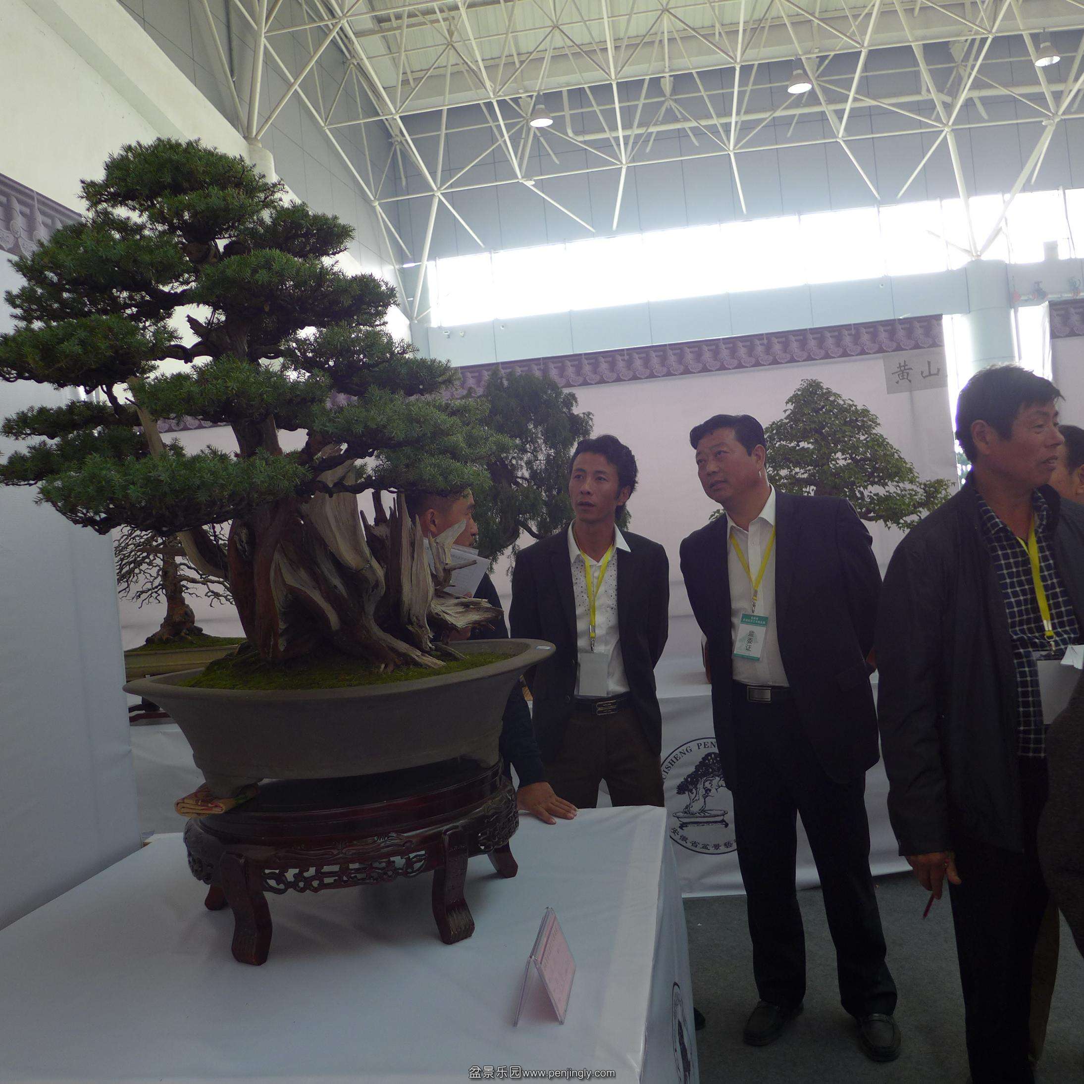 P1000773.JPG