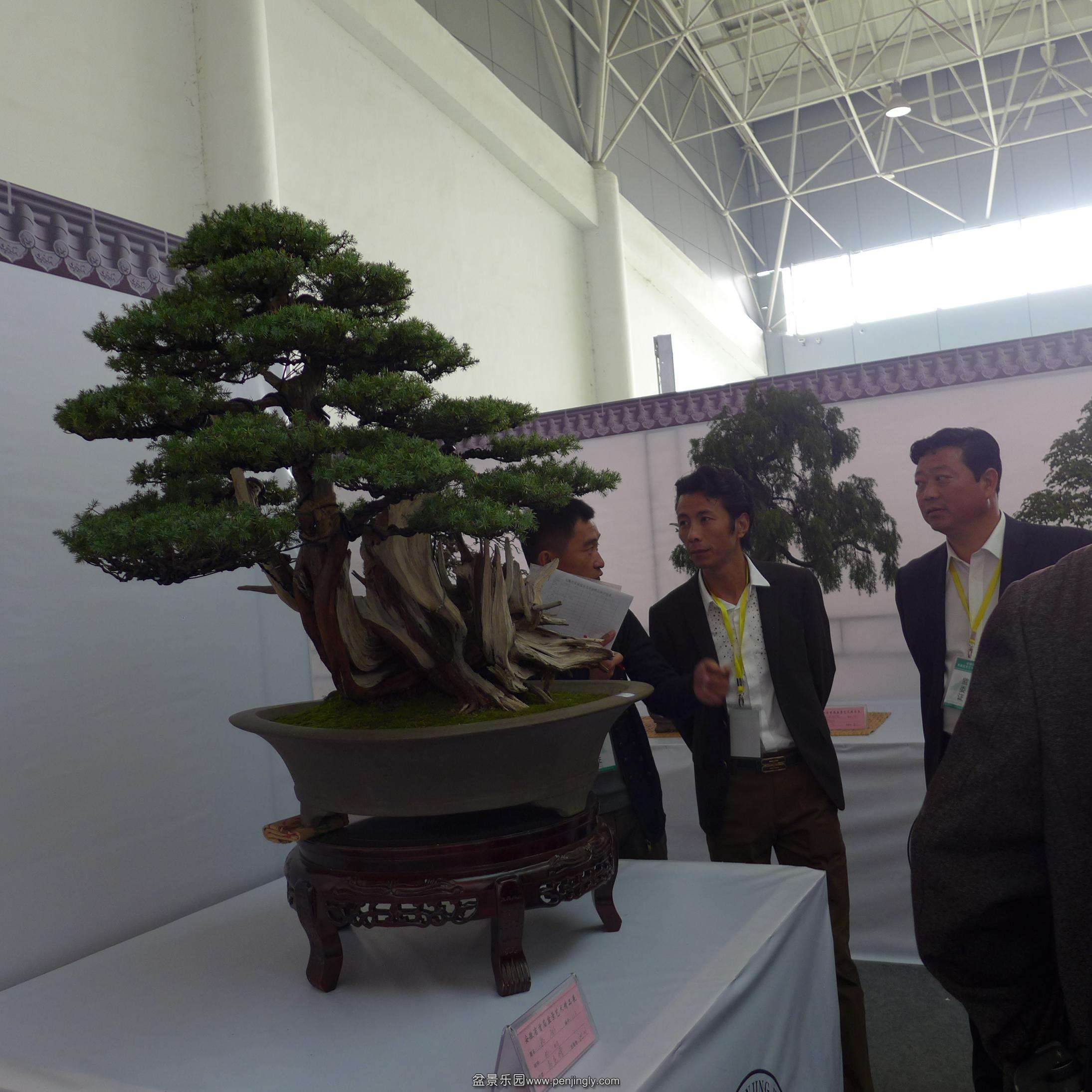 P1000774.JPG