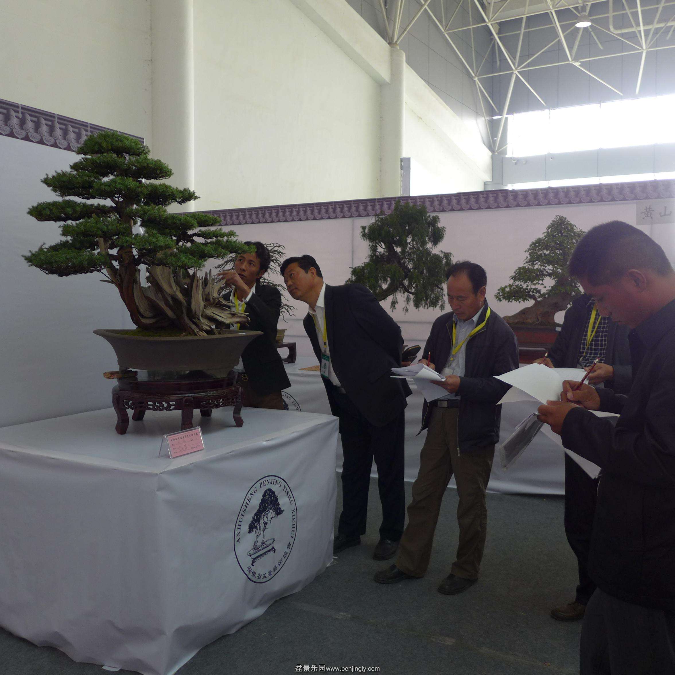 P1000776.JPG