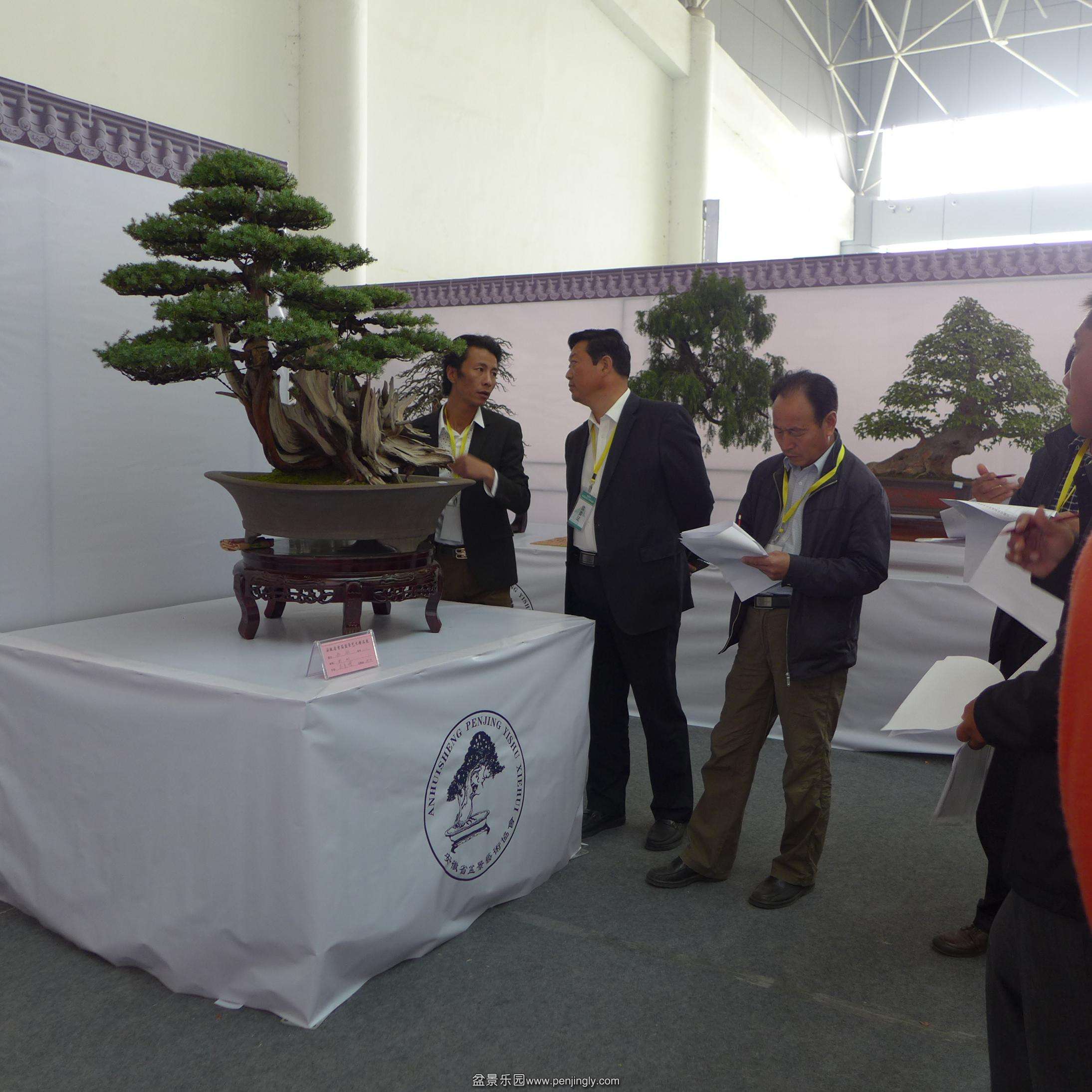 P1000777.JPG