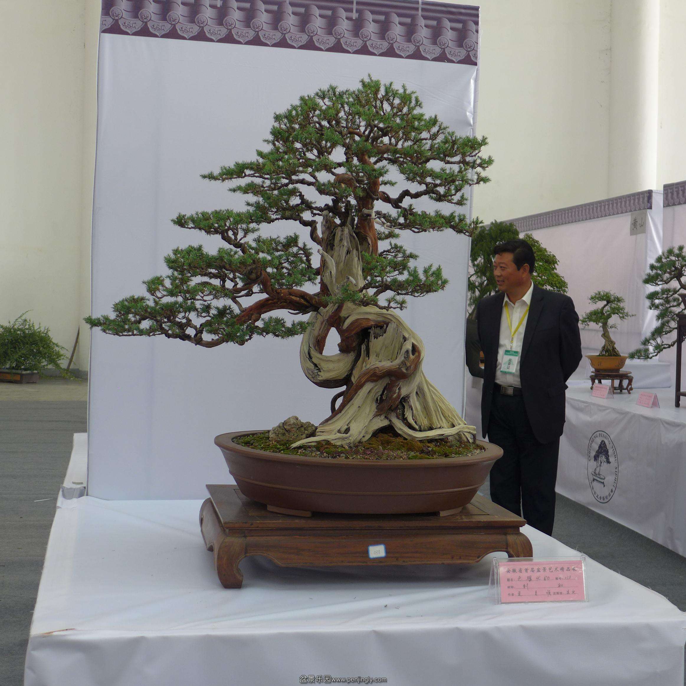 P1000778.JPG