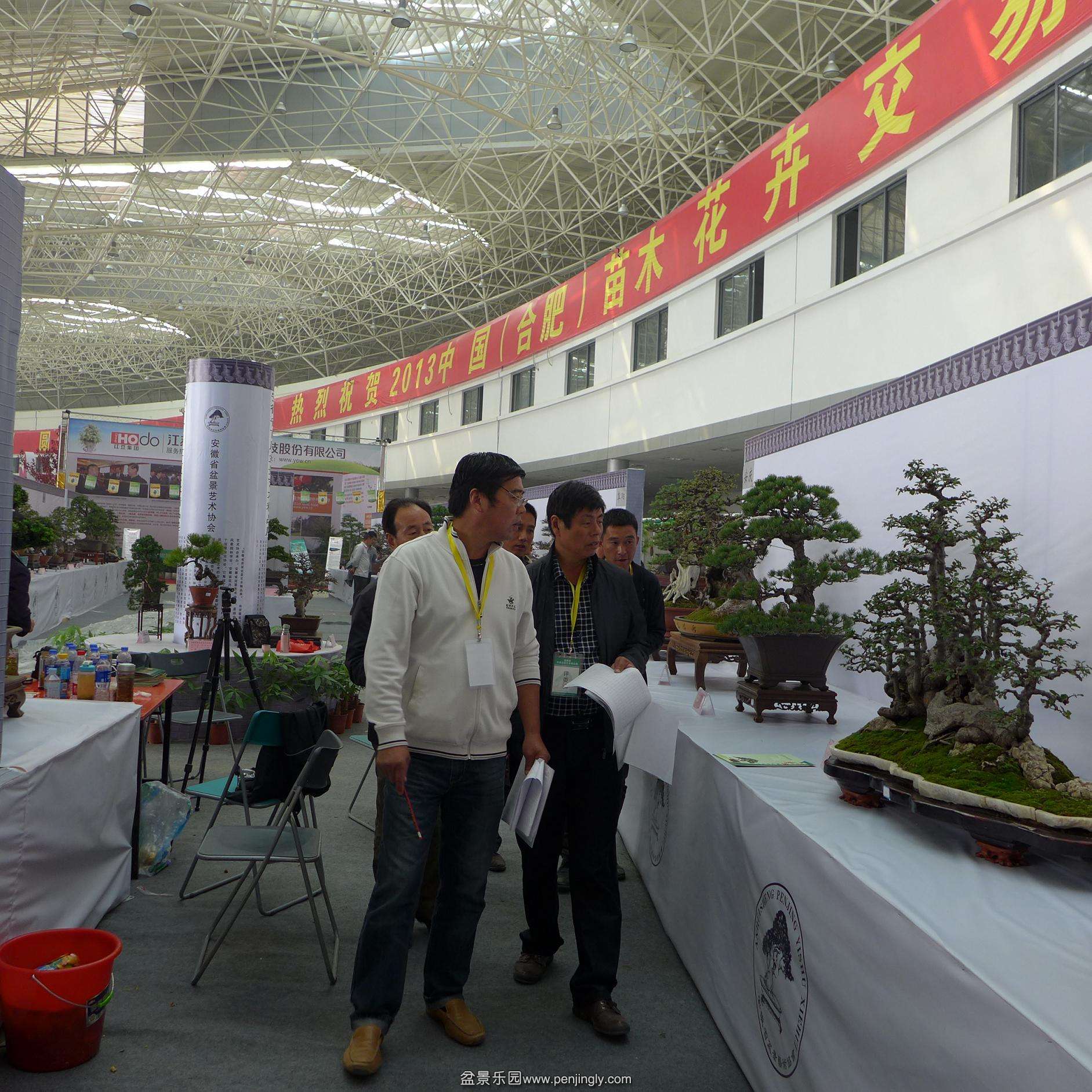 P1000788.JPG