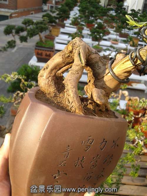 2013-10-27 15.25.07.jpg