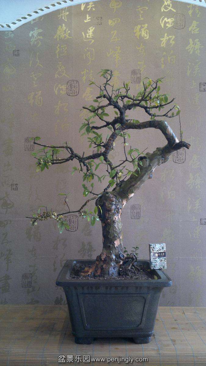 2013-10-28-787.JPG