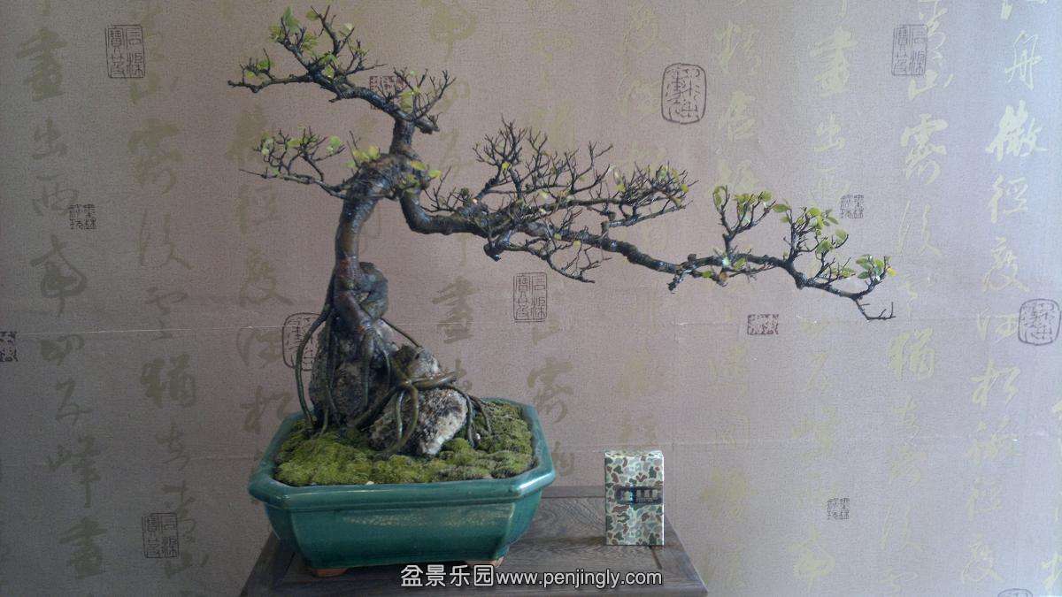 2013-10-28-797.JPG