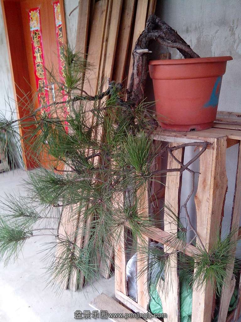 IMG_20131029_134315.jpg