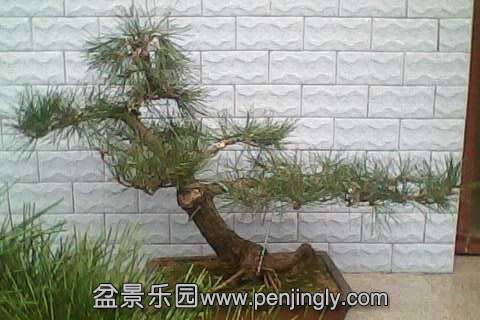 IMG0472A.jpg