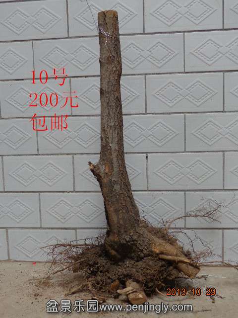 DSC00726_.jpg