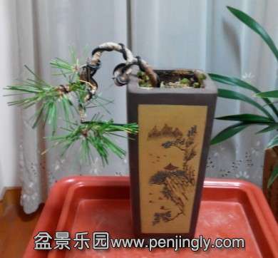 QQͼƬ20131030114014.jpg