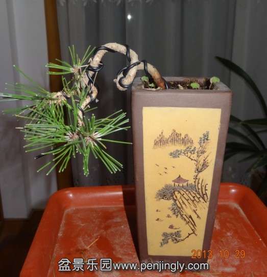 QQͼƬ20131030114147.jpg