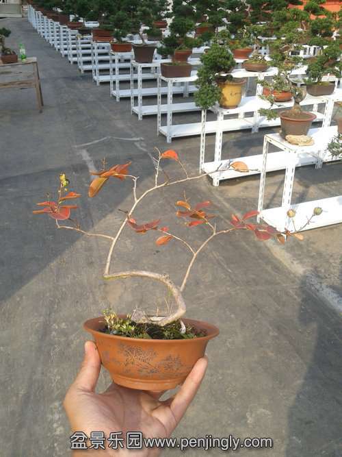 2013-10-29 14.15.44.jpg