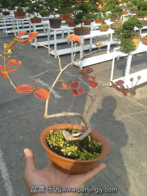 2013-10-29 14.15.06.jpg