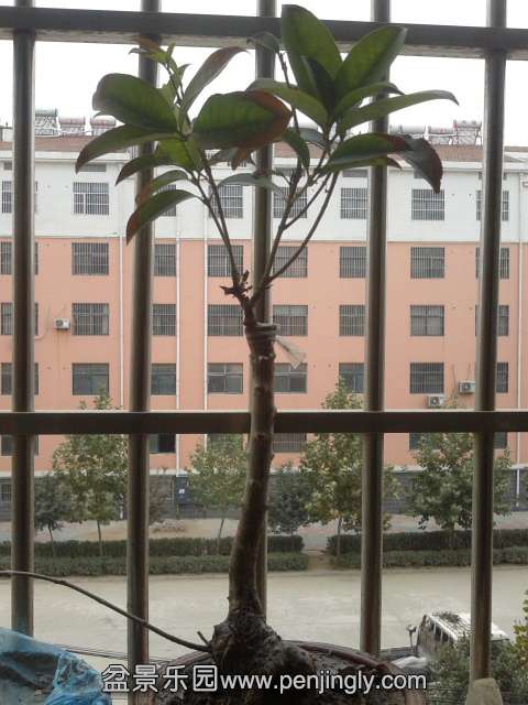 2013-10-30 14.01.52.jpg