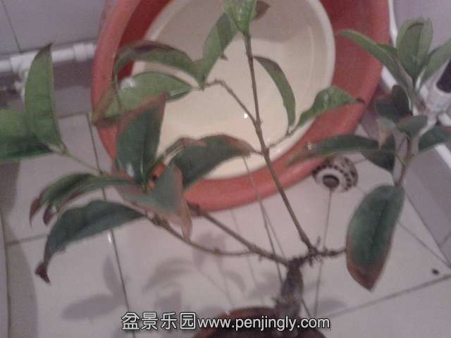 2013-10-30 13.01.55.jpg