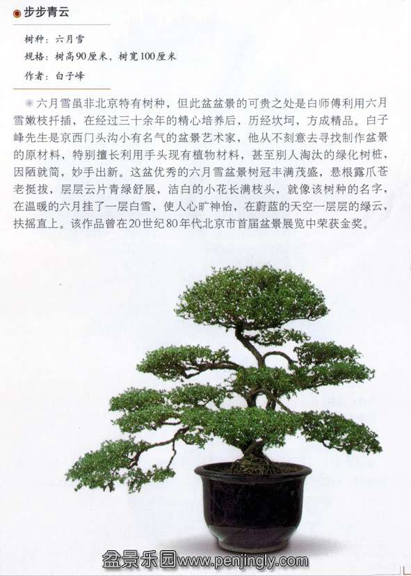 ӷ塶ơѩ.jpg