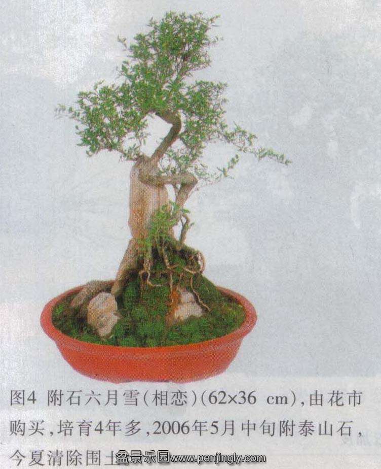 -ѩ-08-1  2.jpg