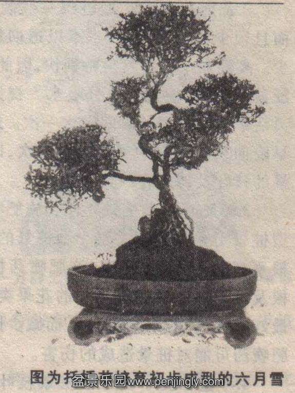 -ѩ-01-5 .jpg