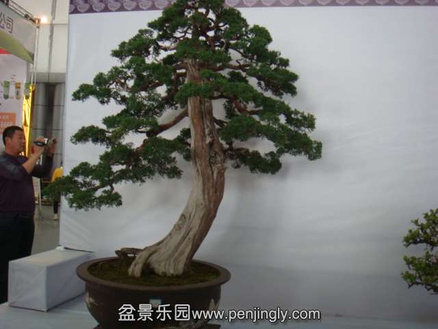 DSC08949.JPG