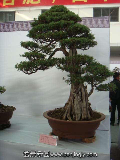 DSC08950.JPG