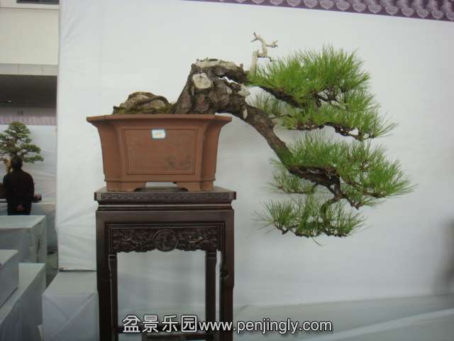 DSC08953.JPG