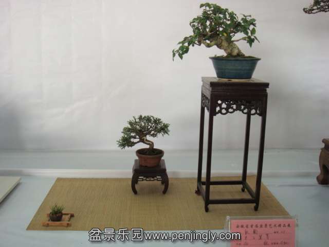 DSC08956.JPG