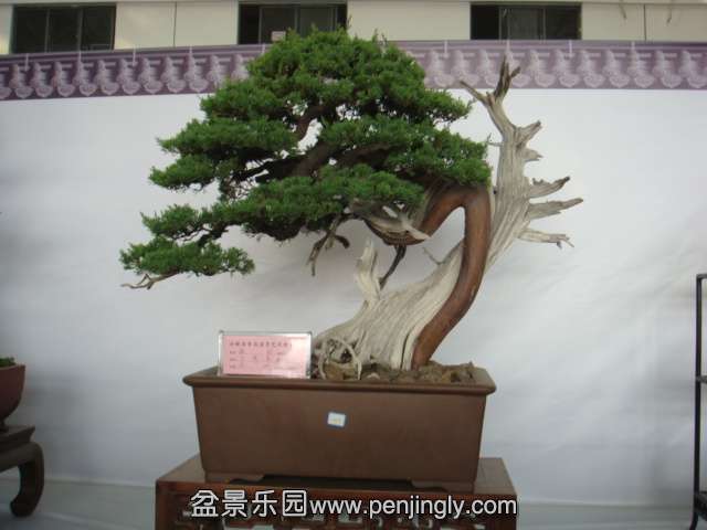 DSC08958.JPG