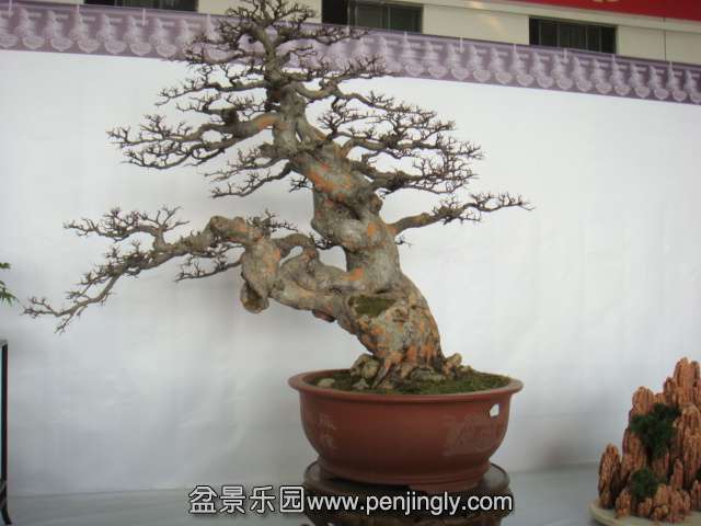 DSC08960.JPG